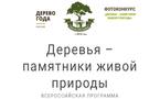 «Российское дерево года – 2023»