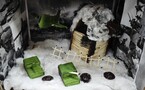Международный день памяти жертв фашизма
