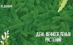 День вечнозеленых растений