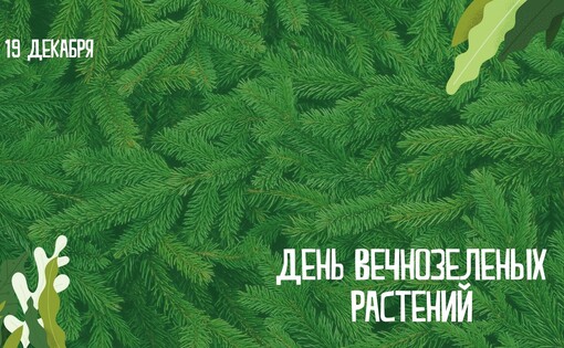 День вечнозеленых растений